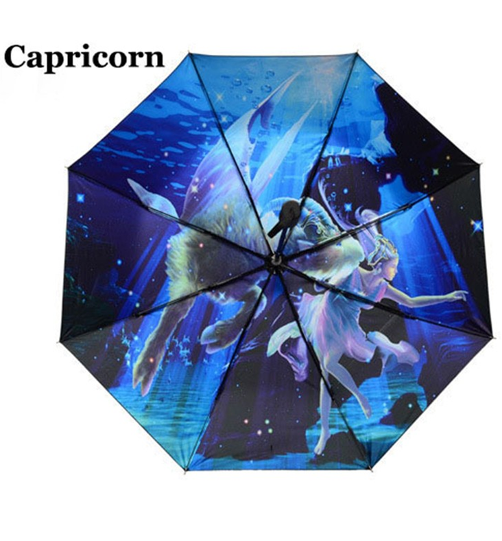Capricorn Gift Umbrella Astrology Sign