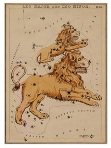 Leo zodiac poster, night sky poster personalized