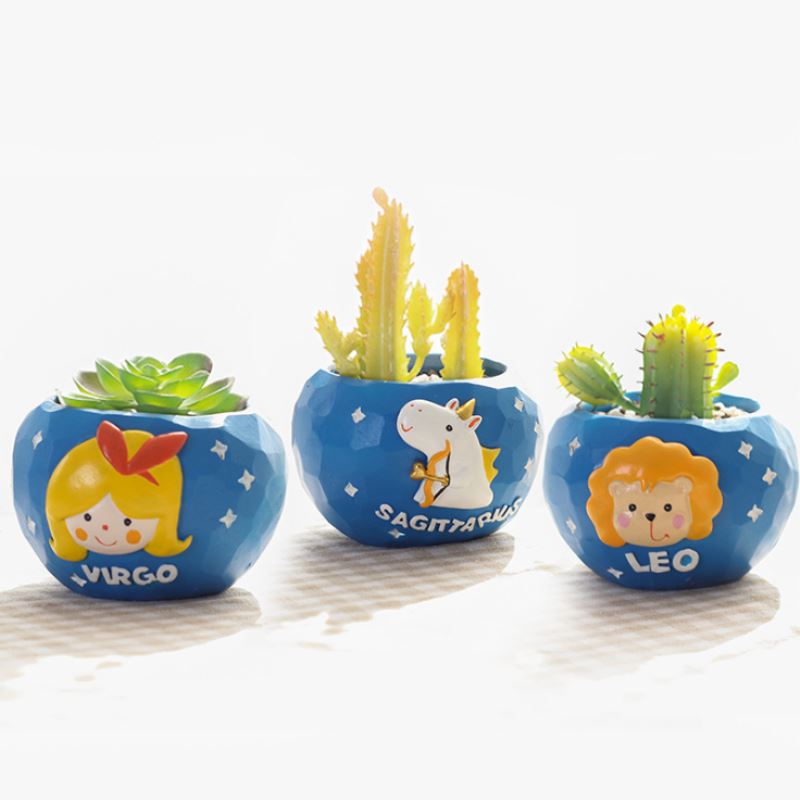 leo succulent Succulent Plant Holder – Small Plant Container For Leo – Boutique Zodiac