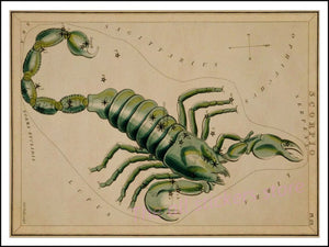 Scorpio zodiac art, day you were born gifts