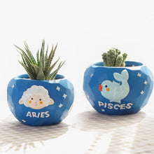 best pots for succulents,  personalized zodiac gifts