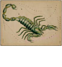 Scorpio zodiac poster, night sky poster personalized