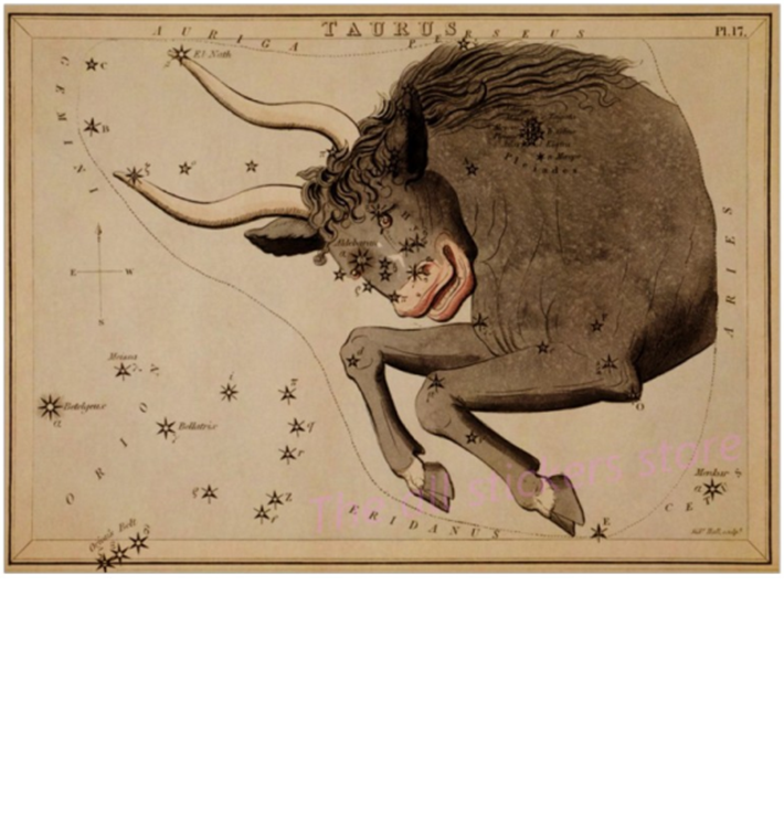 Taurus zodiac poster, night sky poster personalized